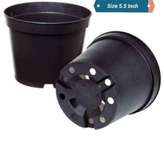 12 Round Plastic Pots 5.5 Inch | Compact & Durable Planters for Gardening