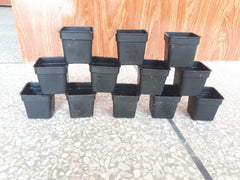 3x3 Inch Small Plastic Pots Set of 100 for Seedlings or Flowering Plants