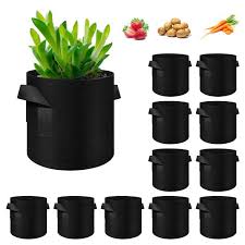 Root Booster Fabric Grow Bag 3 Gallon for Vegetables, Herbs & Flowering Plants