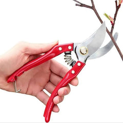 Plant Pruner Perfect Tool for Small Plants & Precise Cutting