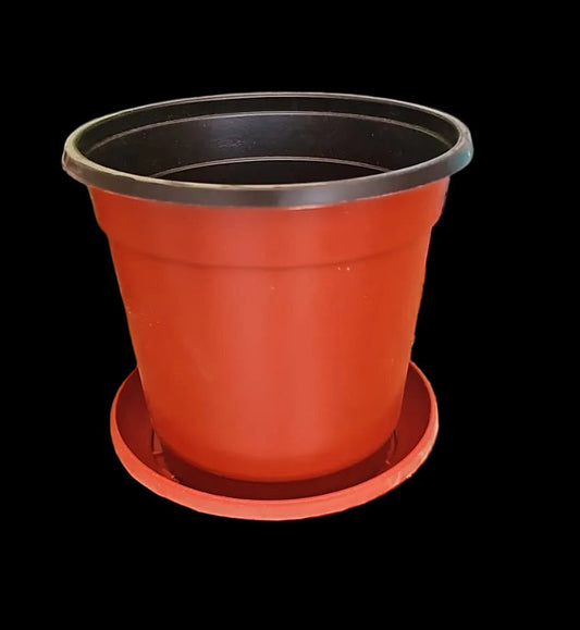 Flexible Nursery Pots (BN-160) – Premium Quality Soft Plastic Pots (with and without tray)