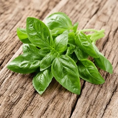Curly Leaf Basil Hybrid Seeds in Pakistan Decorative & Aromatic Herb Seeds