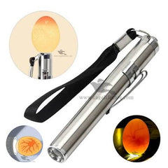LED Egg Candler Light Check Egg Fertility Easily | Poultry Tool Pakistan