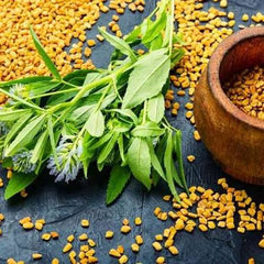 Hybrid Kasoori Methi Seeds/Fenugreek Aromatic, Nutritious & High Yield