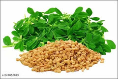 Hybrid Maithray Seeds Fresh, Nutritious & High-Yield Fenugreek