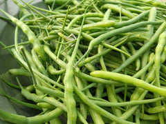 Hybrid Mongray Seeds Crisp, Nutritious & High-Yield Winter Crop