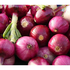 Nasarpuri Onion Seedlings (per kg) Premium Variety for High Yield & Great Taste