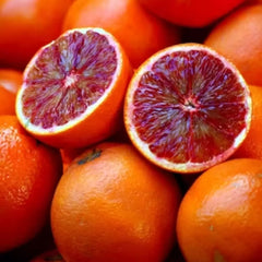 Red Rubi Malta Plant Premium Blood Orange Variety