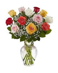 Standard Rose Plant Elegant, Long-Stemmed Roses for Premium Gardens