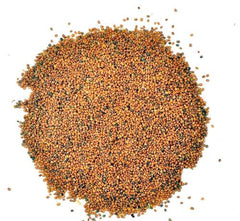 Hybrid Tara Mira ( ) Seeds