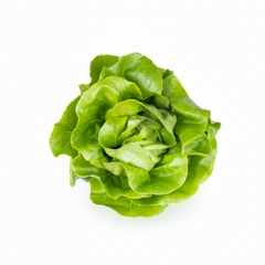 Organic Lettuce Seeds (Salad Pata) Imported, Chemical-Free for Pakistans Winter Gardening