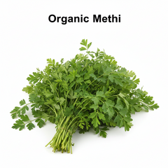 Meethi Seeds Organic Fenugreek Seeds for Kitchen Gardening in Pakistan