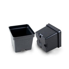 Pack of 50  Mini Square Nursery Pots 2x2 Inch  Bulk Pack for Seedlings, Succulents & Cuttings