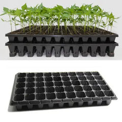 50-Hole Seedling Tray in Pakistan  Durable Plastic Nursery Tray for Vegetables, Herbs & Flowers