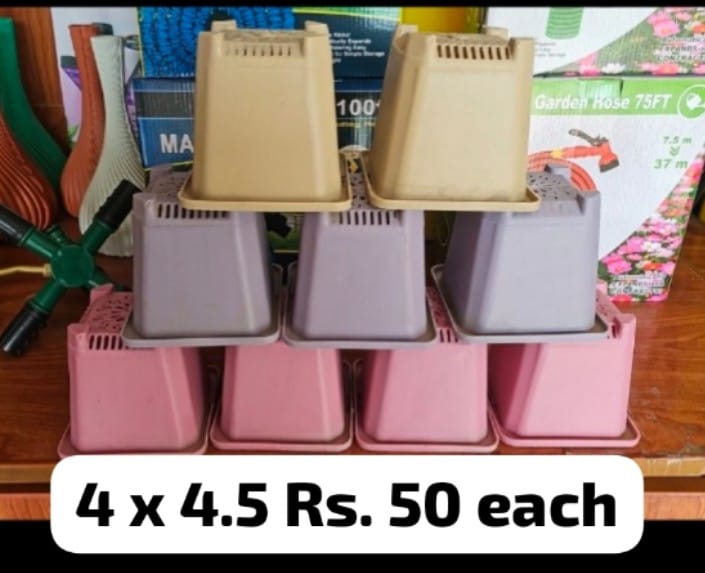 4x4.5 Inch Square Nursery Pot  Single Piece for Herbs, Succulents & Vegetables