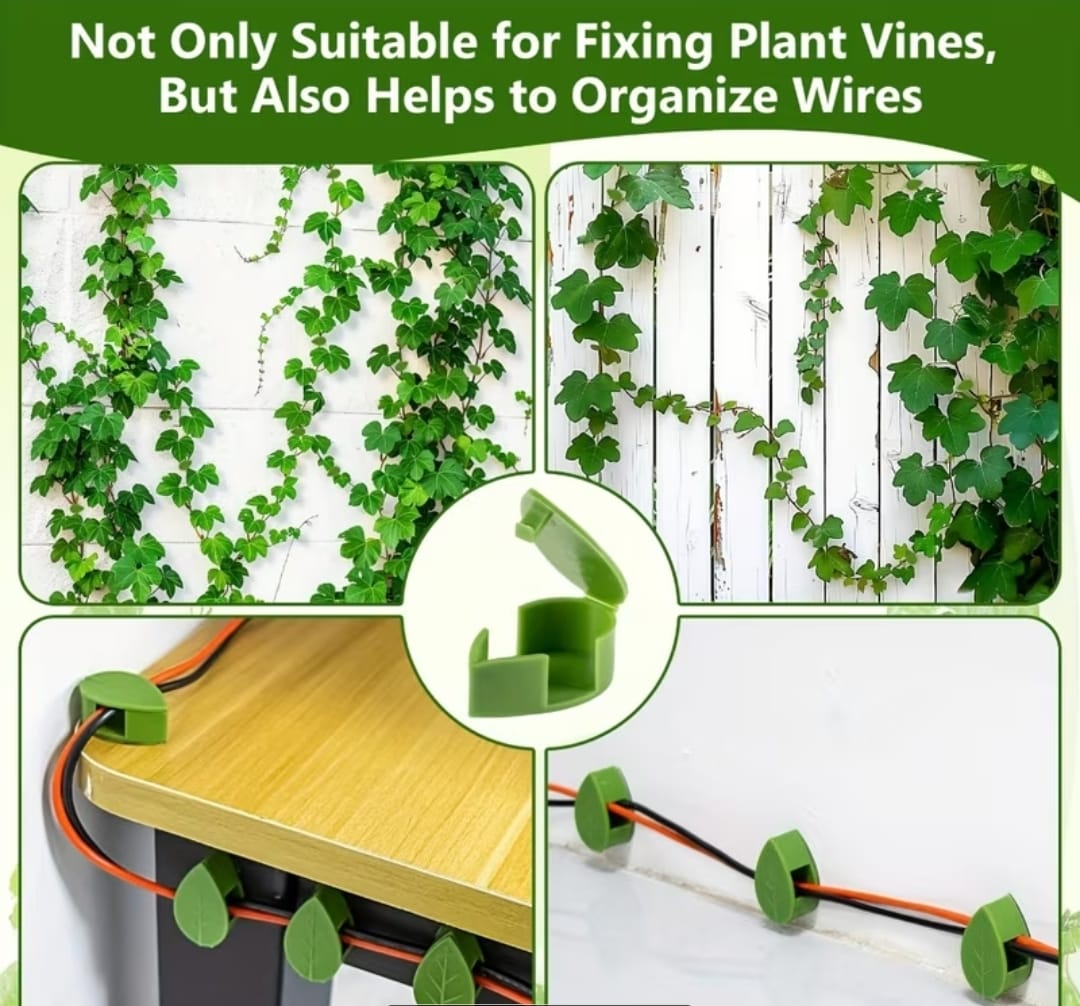 Leaf-Shaped Wall Mounting Adhesive Clips – Self-Adhesive Cable & Plant Vine Organizer