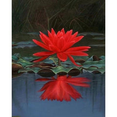 Red Lotus Flower Seeds (10 Seeds) | Sacred Aquatic Plant for Ponds