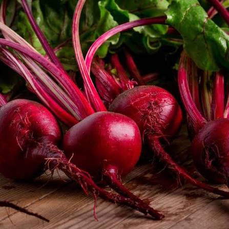 Beetroot Organic Seeds | Non-GMO Chaqandar for Healthy Home Gardening