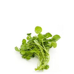 Cress Hybrid Seeds in Pakistan  Fast-Growing Herb Seeds for Kitchen Gardens