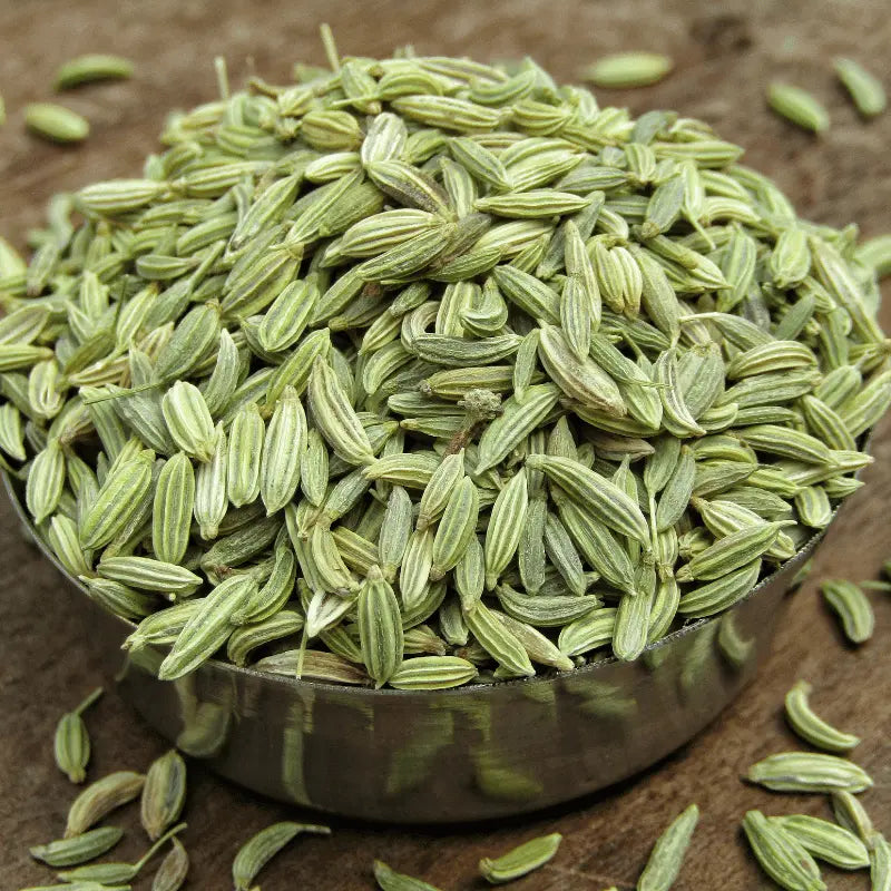 Fennel/Sonf Hybrid Seeds in Pakistan  Fresh Culinary Herb & Vegetable Seeds