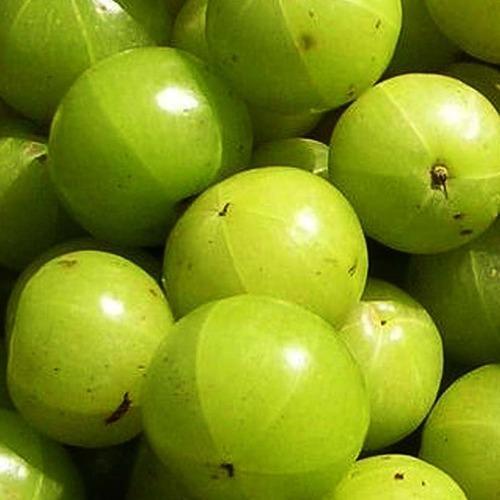 Fresh Amla  Natural Superfruit for Health & Wellness