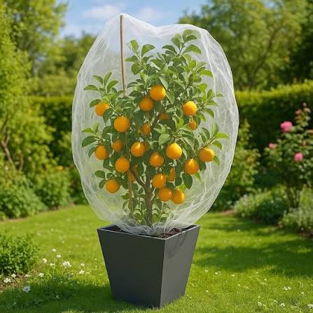 Fruit Protection Net 12 X 8Feet | Protect Fruits from Birds & Insects