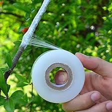 Grafting Tape  200 Meters Length, 1 Inch Width