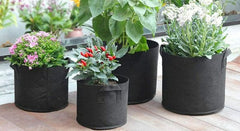MaxRoot 5 Gallon Grow Bag  Heavy-Duty Fabric Pot for Tomatoes, Peppers & Small Shrubs