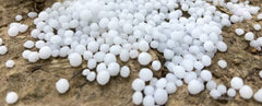 Zinc Fertilizer for Plants (1 kg) | Prevent Zinc Deficiency & Boost Growth