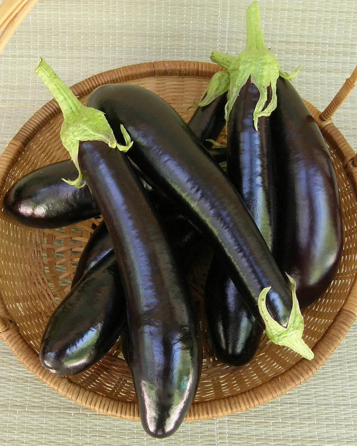 Melanzana Violetta Lunga 2 Seeds – Italian Long Purple Eggplant for Kitchen Gardens