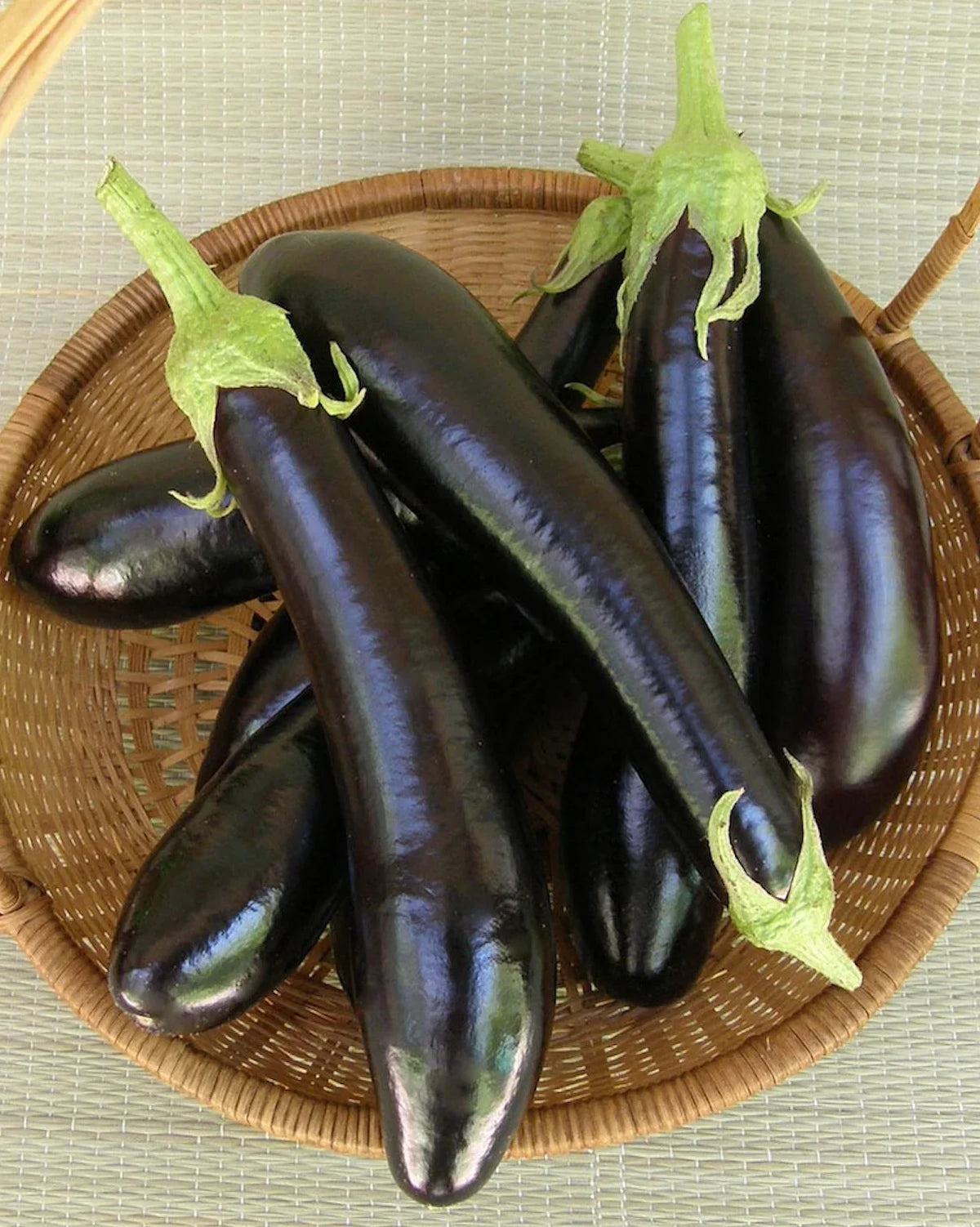 Melanzana Violetta Lunga 2 Seeds – Italian Long Purple Eggplant for Kitchen Gardens