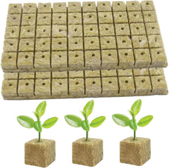 Stone Wool (Rock Wool) Seed Grow Kit – Premium Hydroponic Seed Starter Kit