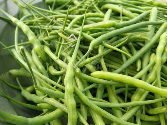 Hybrid Mongray Seeds  Crisp, Nutritious & High-Yield Winter Crop