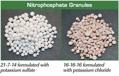 Nitrophosphate Fertilizer-Nitroforous (1 kg) | Phosphorus-Rich Boost for Plant Growth
