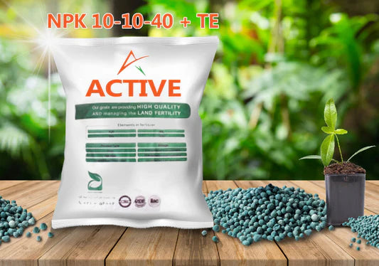 NPK 10-10-40 Fertilizer (1 kg) | High Potassium Boost for Flowering & Fruiting