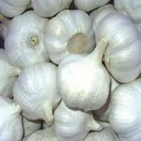 Organic Garlic (Lehsun) Seeds  Premium Quality for High Yield (Per Kg)