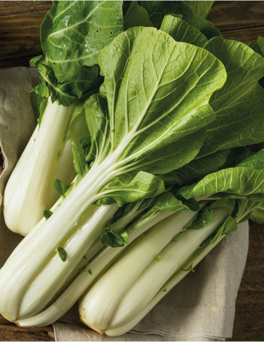 Hybrid Pak Choi Seeds  Fast-Growing Asian Greens for Winter Gardening