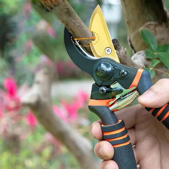 Plant Pruner  Perfect Tool for Small Plants & Precise Cutting