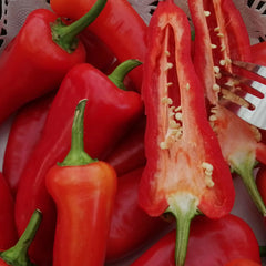 Red Banana Pepper Seeds (Hybrid) – Mild Sweet Chili