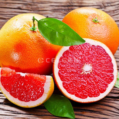 Seedless Grapefruit Plant  Premium Citrus Variety for Home Gardens